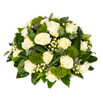 product_161819652258 product_161819652258