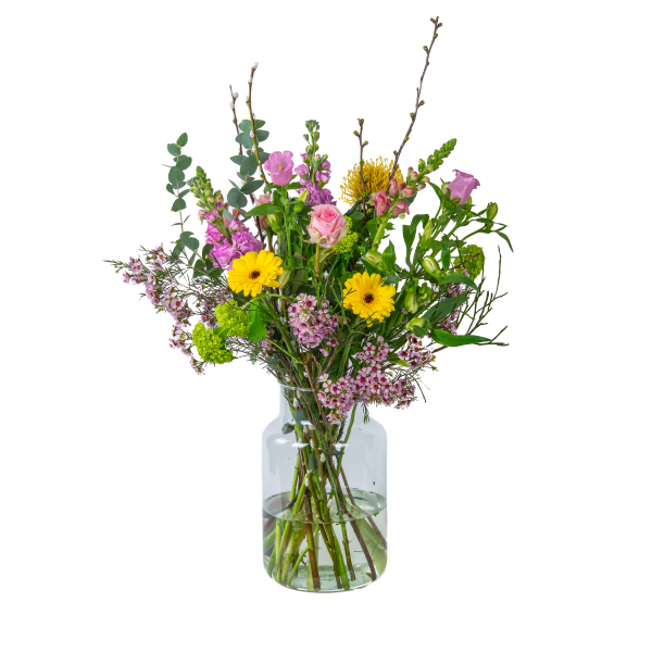 product_172728576504 product_172728576504